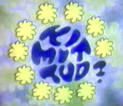 Ki mit tud