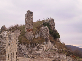 Regec2013